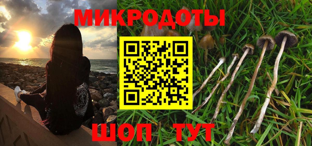 Семёнов  Галлюциногенные грибы Magic Shrooms  Вход с VPN 